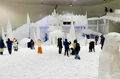 Snow City Bangalore: A -5°C Winter Adventure Right Next Door